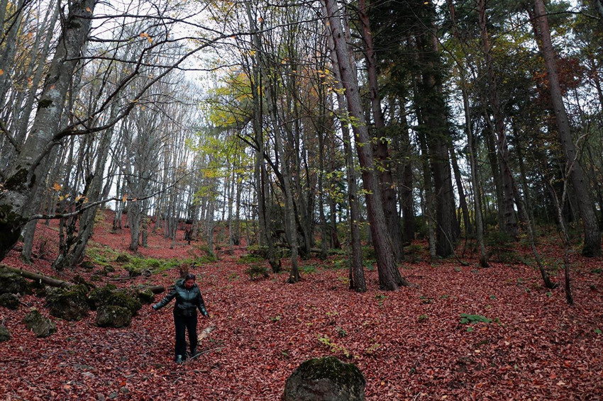 Ara tatil başladı; tatilciler yeşil cennete akın etti - Resim: 4
