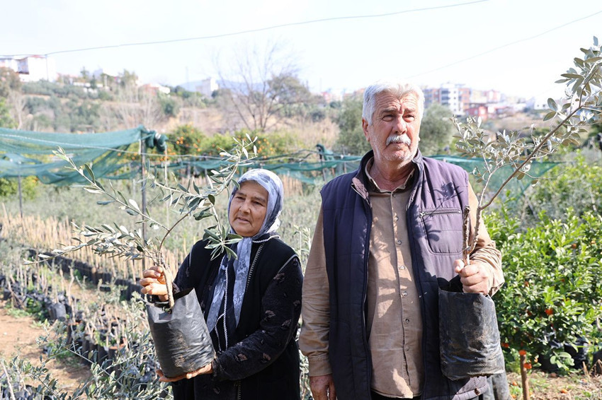 Adanalı karı-kocadan zeytin üretiminde her şeyi değiştirecek adım - Resim: 1