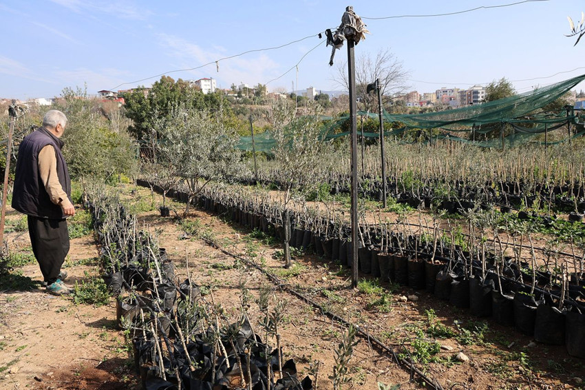 Adanalı karı-kocadan zeytin üretiminde her şeyi değiştirecek adım - Resim: 4