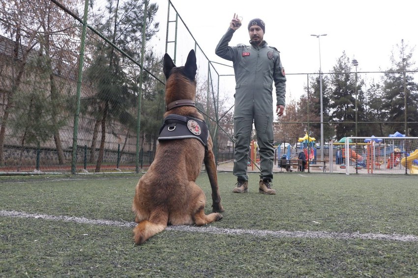 Sahibinin Emniyet'e verdiği Risko hem narkotik köpeği hem de Emniyet'in gururu oldu - Resim: 4