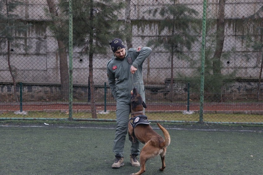 Sahibinin Emniyet'e verdiği Risko hem narkotik köpeği hem de Emniyet'in gururu oldu - Resim: 3