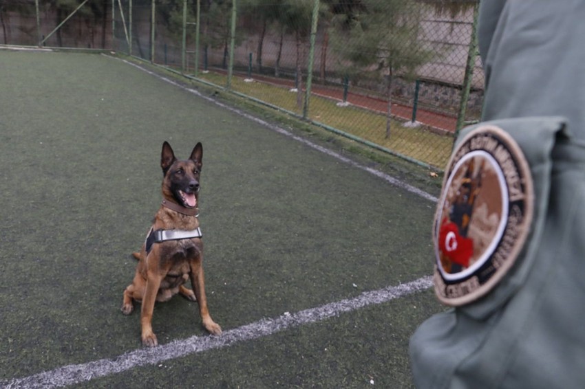 Sahibinin Emniyet'e verdiği Risko hem narkotik köpeği hem de Emniyet'in gururu oldu - Resim: 1