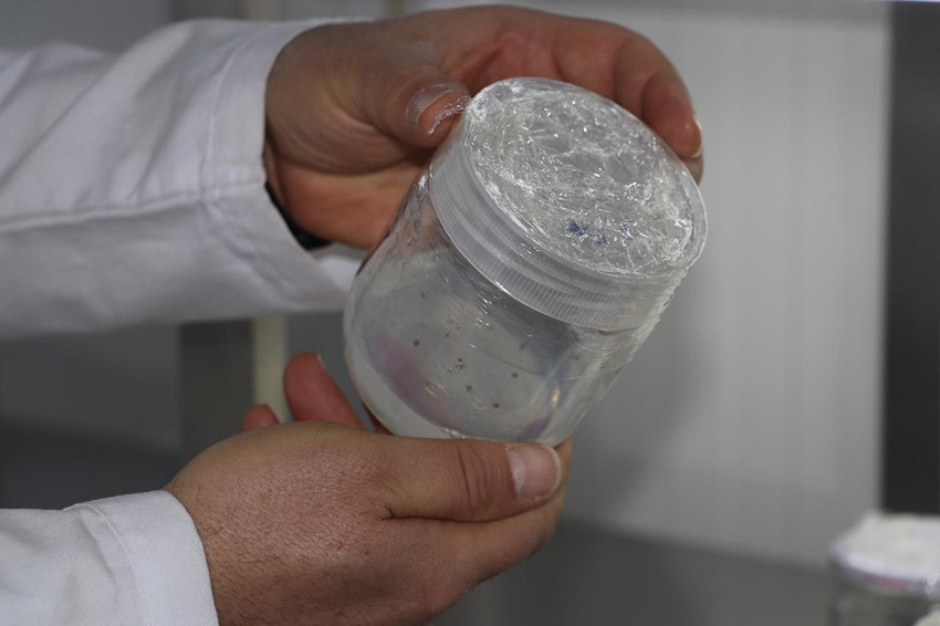 Uzmanı önerdi: Sahurda bunu tüketin, açlık ve susuzluğu unutun - Resim: 4