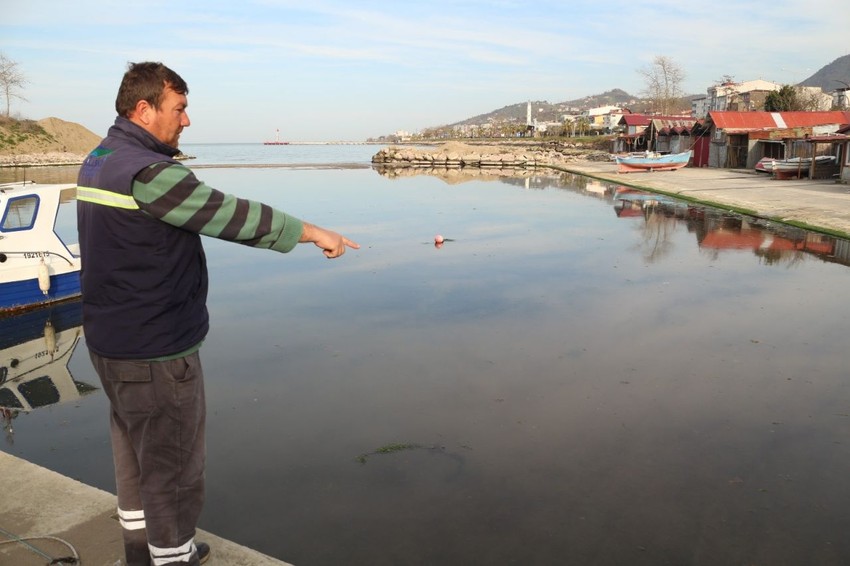 Liman göl oldu, balıkçılar neye uğradığını şaşırdı - Resim: 1