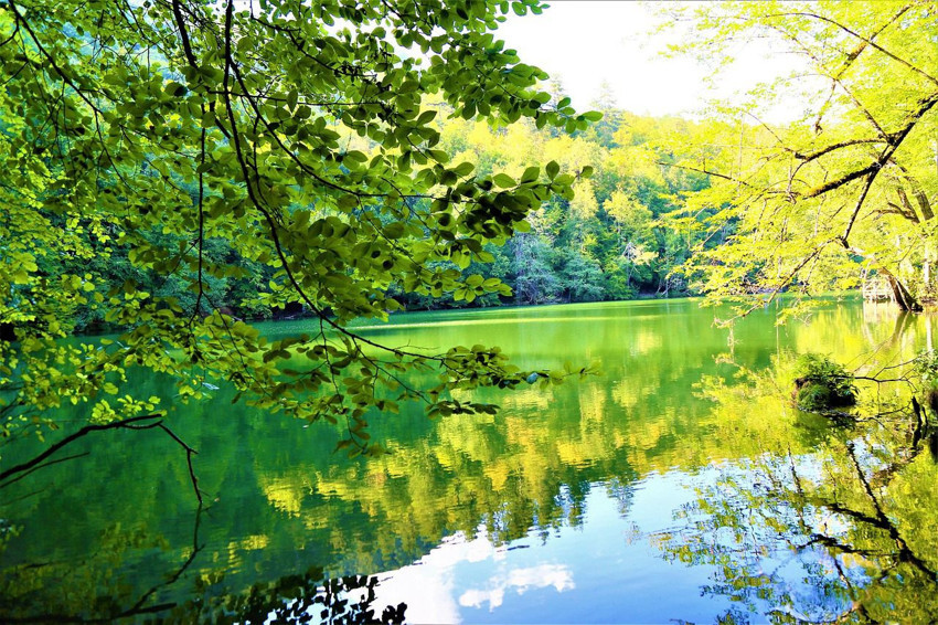 Bolu Yedigöller'e ''maden arama ruhsatı'' başvurusu - Resim: 3