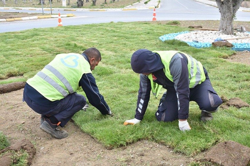 Balıkesir Büyükşehir’den çevreci ve ekonomik hamle: Balıkesir’de belediye kendi çimini üretiyor - Resim: 1