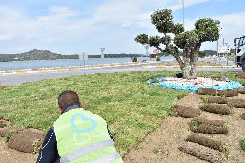 Balıkesir Büyükşehir’den çevreci ve ekonomik hamle: Balıkesir’de belediye kendi çimini üretiyor - Resim: 3