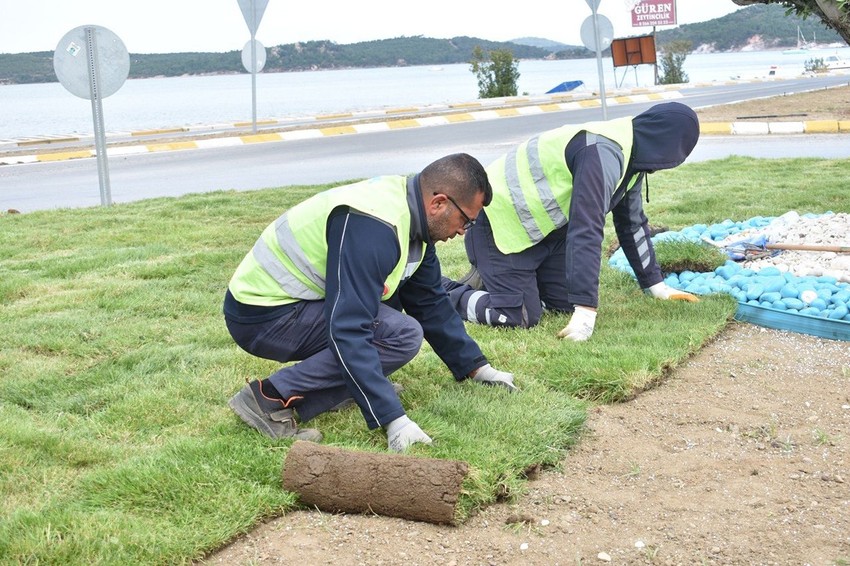 Balıkesir Büyükşehir’den çevreci ve ekonomik hamle: Balıkesir’de belediye kendi çimini üretiyor - Resim: 4