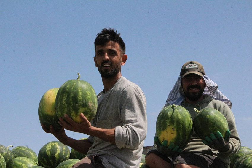 Adana karpuzunda hasat başladı! İşte fiyatı... - Resim: 1