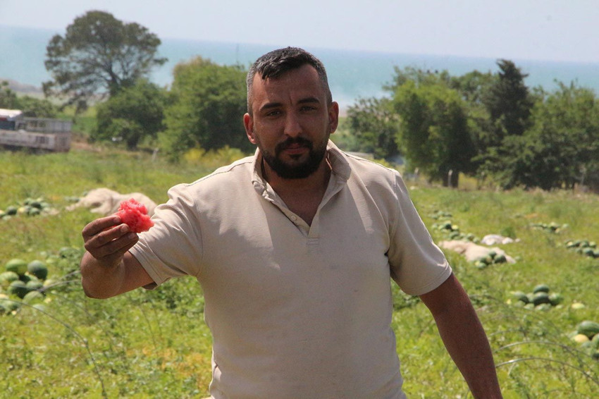 Adana karpuzunda hasat başladı! İşte fiyatı... - Resim: 3