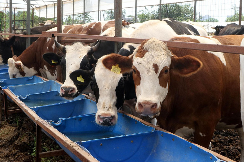 Kurban bayramında ibadet etmek isterken ''tek tıkla'' binlerce TL dolandırılabilirsiniz - Resim: 1