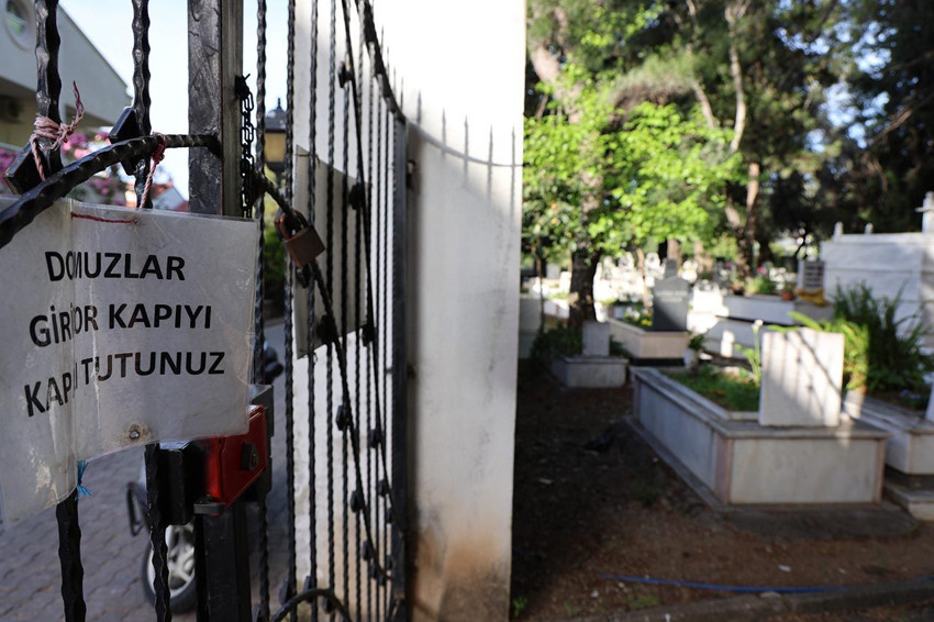 Evlerine ev yapılınca şehrin ortasında kalan domuzlar mezarlara saldırdı - Resim: 1