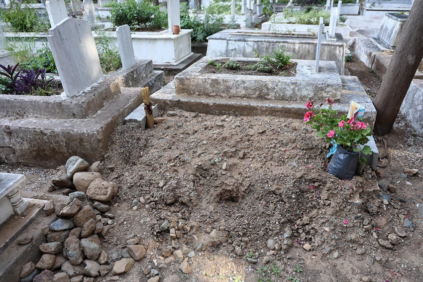 Evlerine ev yapılınca şehrin ortasında kalan domuzlar mezarlara saldırdı - Resim: 4