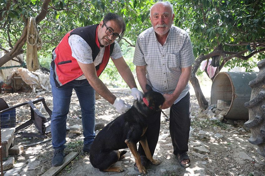 Asrın felaketinde yerle bir olan Hatay'da kuduz alarmı: Karantinalar başladı - Resim: 2