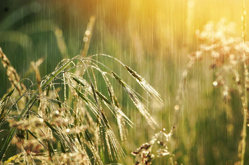 Meteoroloji açıkladı: Hava serinliyor, yaz yağmuru geliyor! - Resim: 3