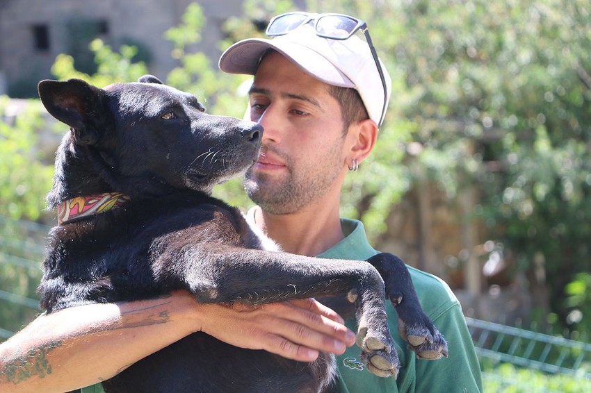 Şili'den bisiklet üstünde köpeğiyle yola çıkan gezgin Türkiye'de... - Resim: 4