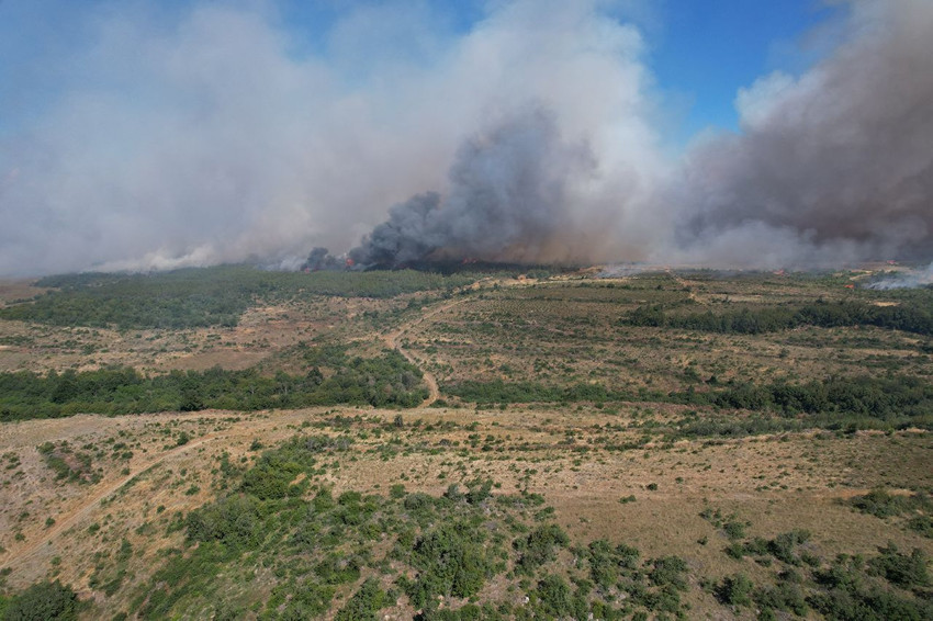 İstanbul'da orman yangını; yangının nedeni kahretti - Resim: 1