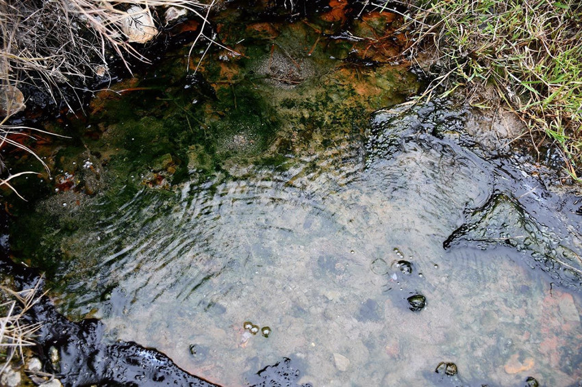 Kimi içiyor, kimi yıkanıyor! Şifa arayan soluğu burada alıyor - Resim: 4