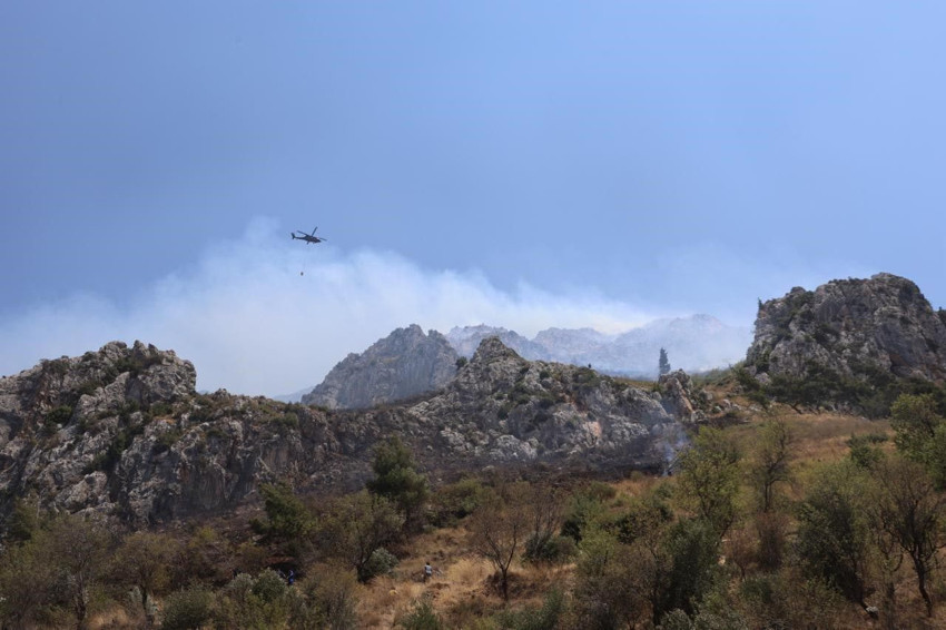 Hatay'da orman yangını - Resim: 1