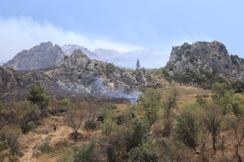 Hatay'da orman yangını - Resim: 2