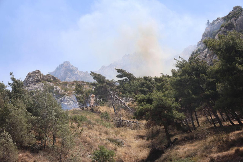 Hatay'da orman yangını - Resim: 3