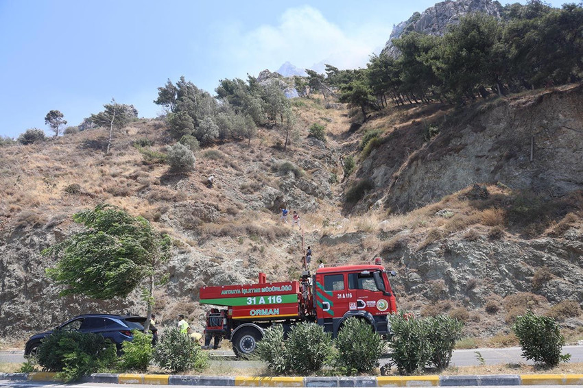 Hatay'da orman yangını - Resim: 4