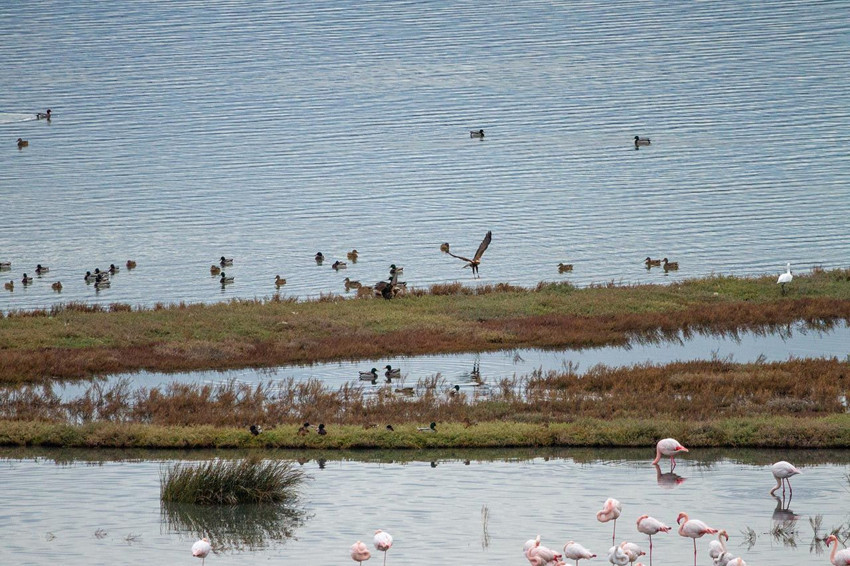 Türkiye'de tekti... Büyüleyen cennet cehenneme döndü! - Resim: 2