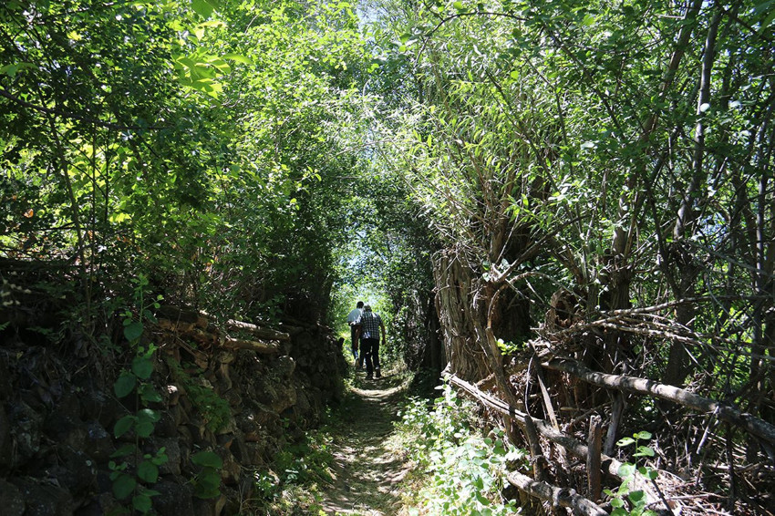 Türkiye'nin eşsiz doğasıyla dikkat çeken gözlerde uzak yemyeşil cenneti drone ile görüntülendi - Resim: 4