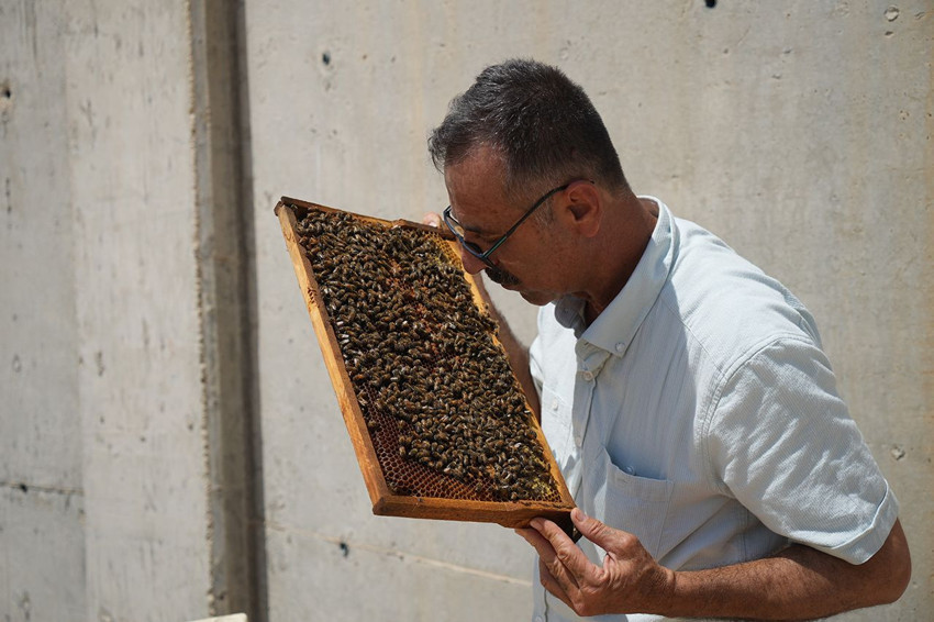 Türkiye'de alternatif tıpta çığır açıldı: Bu sıradışı tedavinin adı apiterapi - Resim: 2