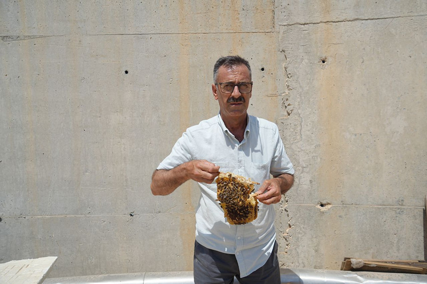 Türkiye'de alternatif tıpta çığır açıldı: Bu sıradışı tedavinin adı apiterapi - Resim: 4