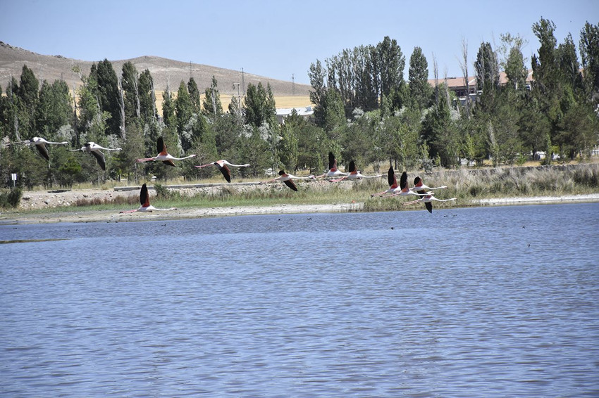 Türkiye'nin haritasını değiştiren kuraklık sonrası dikkat çeken adım - Resim: 2