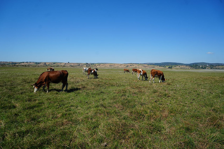Türkiye'nin maviyle yeşilin buluştuğu cenneti bakın ne oldu - Resim: 3