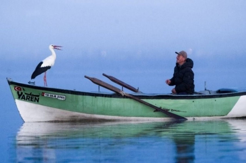 Yaren leylek bu yıl erken göçtü, Adem amca gözyaşları içinde veda etti... - Resim: 2