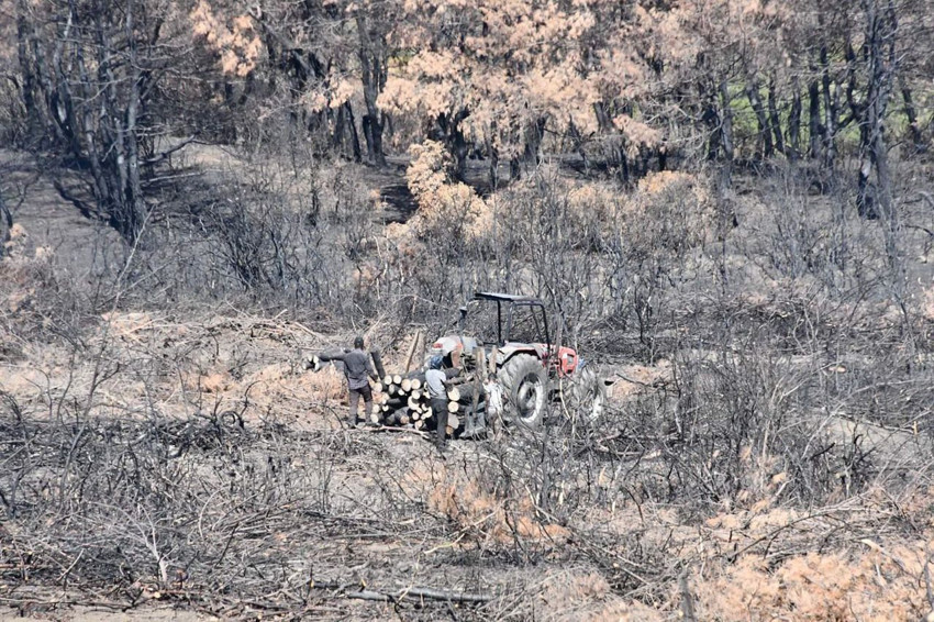 Tekirdağ'ın cehenneme dönen cennetin son hali görüntülendi - Resim: 3
