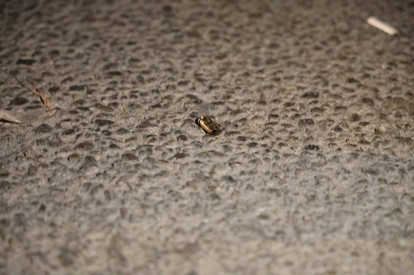 En mutlu günleriydi, kanlı bitti - Resim: 3