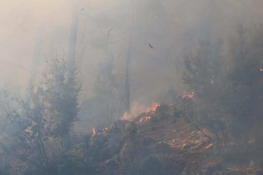 Muğla ve Antalya günlerdir alev alev yanıyor - Resim: 4