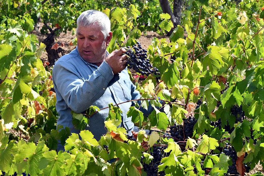 Trakya'nın eşsiz lezzetinin ünü ABD'ye kadar yayıldı... - Resim: 1