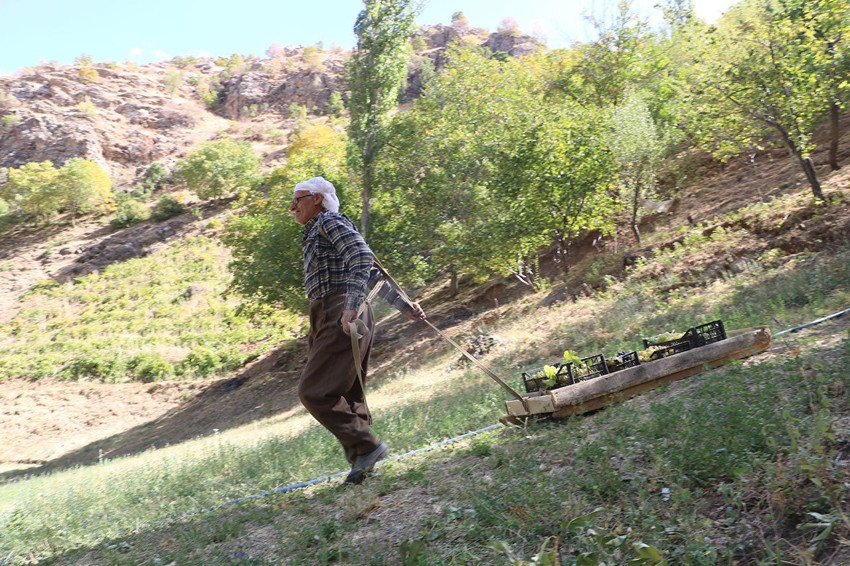 Hakkari'nin 80 yaşındaki Süso dedesinin hem yıllara hem de doğanın zorluklarına meydan okuyor! - Resim: 2