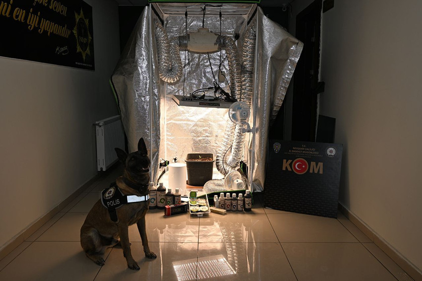 Devlet hastanelerinde uyuşturucu ve alkol testlerini manipüle eden çete çökertildi - Resim: 1