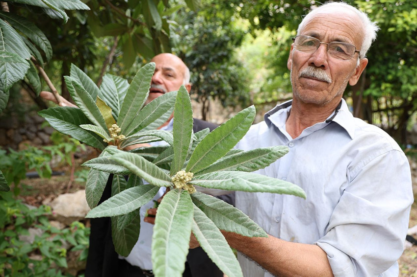 Bu köyde vatandaş kelimenin tam anlamıyla ne ekerse onu biçebiliyor... - Resim: 3