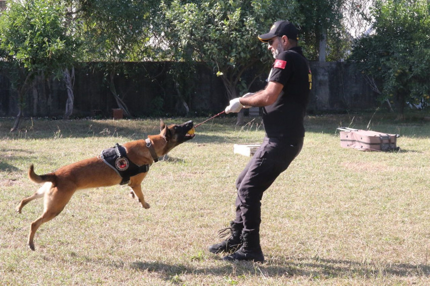 ''Uyuşturucuya alıştırıyorlar'' diyen bile vardı... Narkotik köpeklerinin sırrı çözüldü - Resim: 3