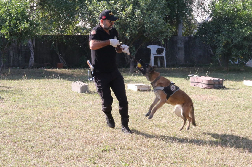 ''Uyuşturucuya alıştırıyorlar'' diyen bile vardı... Narkotik köpeklerinin sırrı çözüldü - Resim: 4