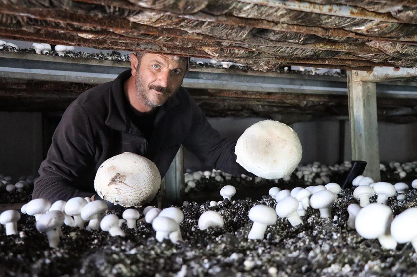 İstanbul'da yöneticilik koltuğunu bıraktı, memleketinde üretici oldu - Resim: 2