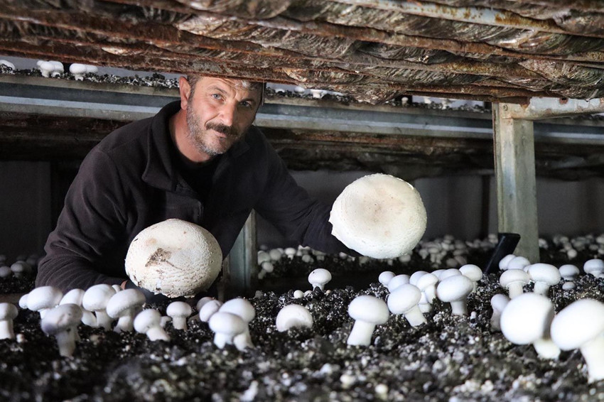 İstanbul'da yöneticilik koltuğunu bıraktı, memleketinde üretici oldu - Resim: 3
