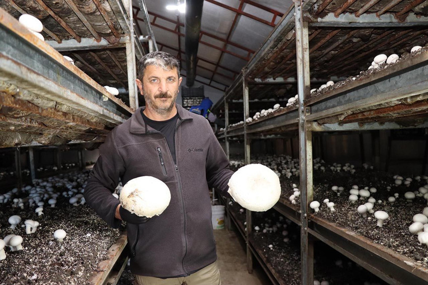 İstanbul'da yöneticilik koltuğunu bıraktı, memleketinde üretici oldu - Resim: 1