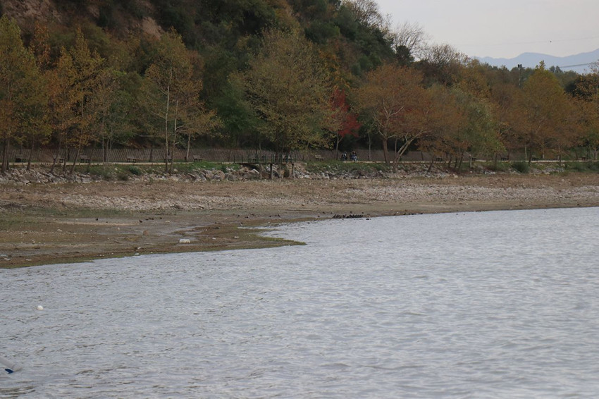 Kuraklıktan yok olmaya başlayan Sapanca Gölü'nde su fokurdamaya başladı - Resim: 3