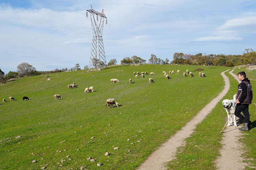 Üniversiteyi bitirip döndüğü köyünde kendi işinin patronu oldu - Resim: 2