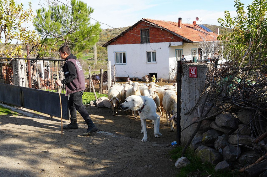 Üniversiteyi bitirip döndüğü köyünde kendi işinin patronu oldu - Resim: 4