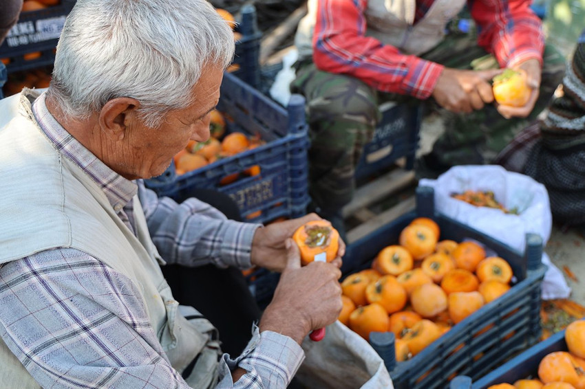 7'den 77'ye köylüler biraraya gelip köyü açık hava fabrikasına çevirdi - Resim: 4