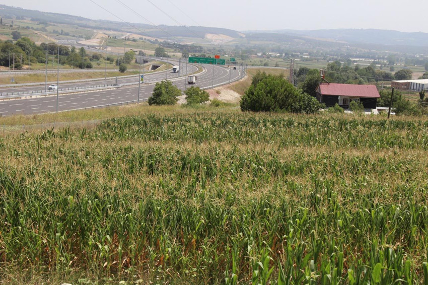 2025'te arsa fiyatlarının en çok yükseldiği iller açıklandı: Listede sürpriz şehirler var! - Resim: 2